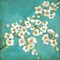 Spring Blossoms II Poster Print by Stephanie Marrott - Item # VARPDXSM10350